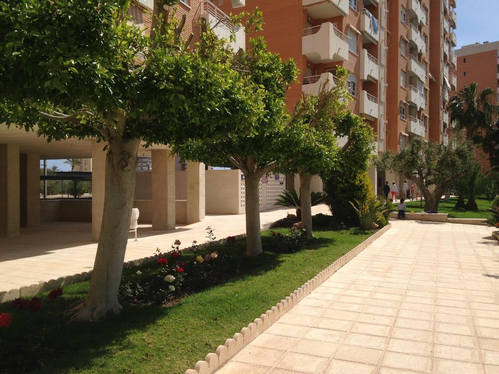 Apartment Playa San Juan Alicante Habitación foto